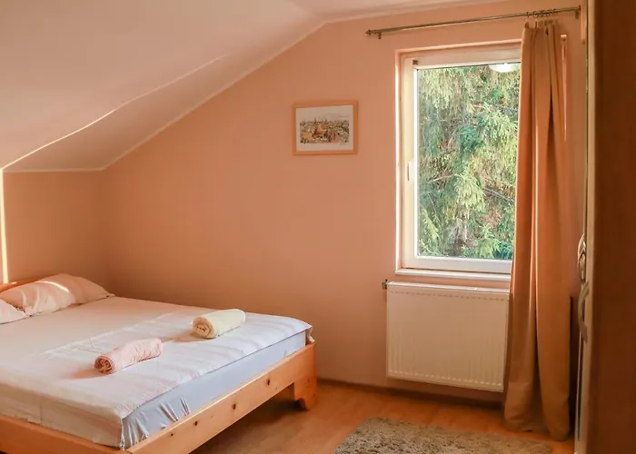 فيلة Yellow House *